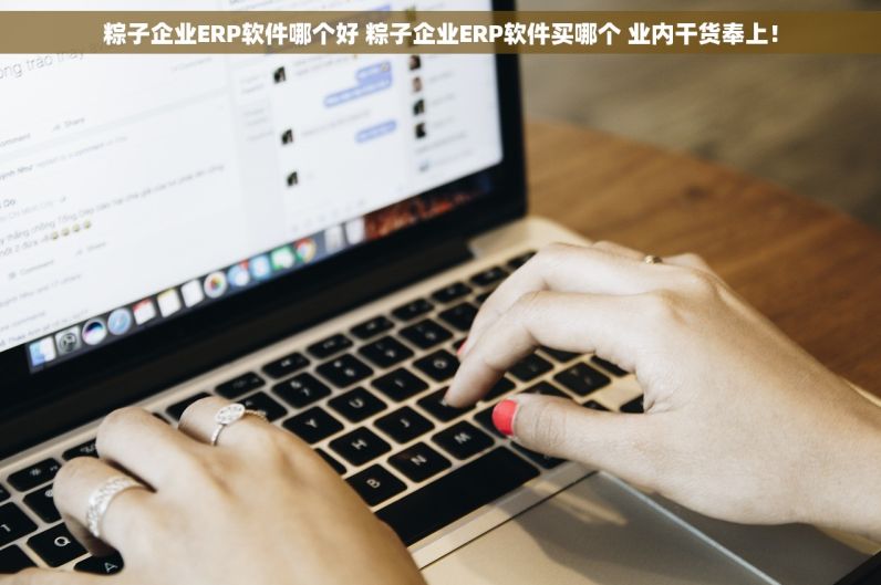 粽子企业ERP软件哪个好 粽子企业ERP软件买哪个 业内干货奉上！