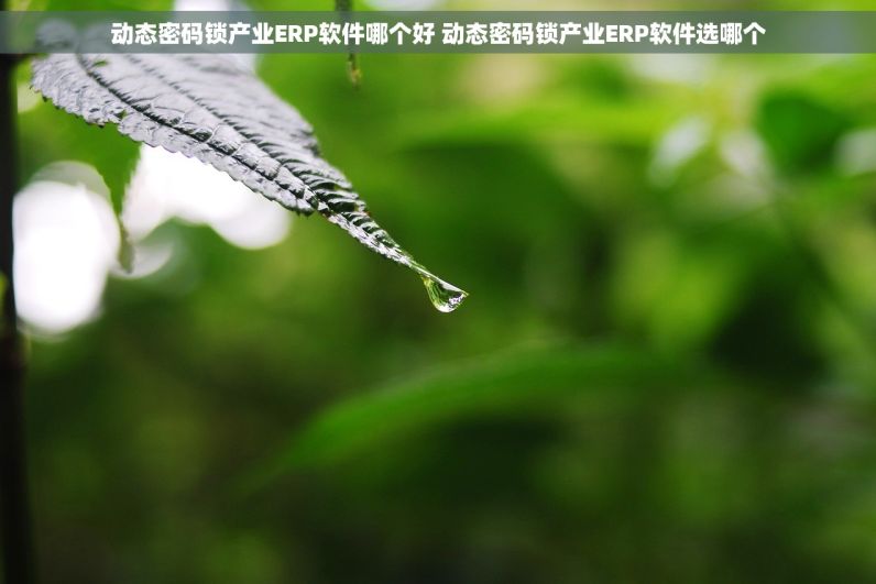 动态密码锁产业ERP软件哪个好 动态密码锁产业ERP软件选哪个