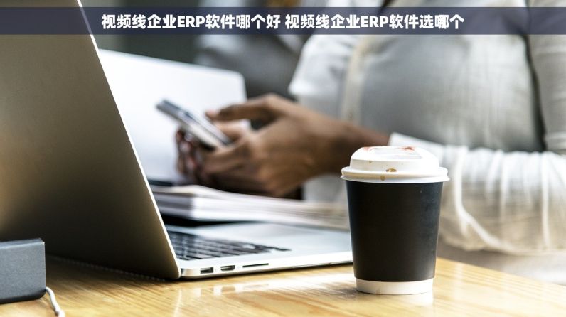 视频线企业ERP软件哪个好 视频线企业ERP软件选哪个