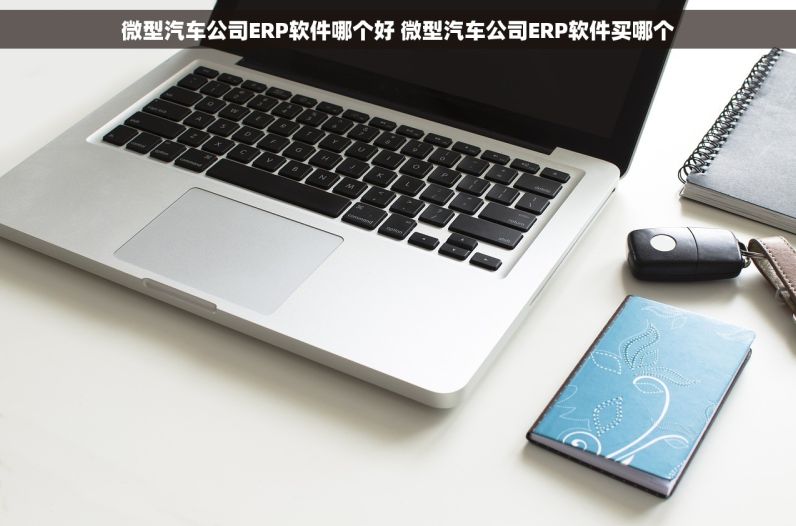 微型汽车公司ERP软件哪个好 微型汽车公司ERP软件买哪个