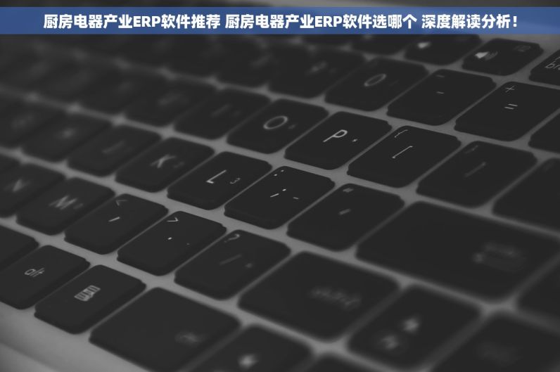 厨房电器产业ERP软件推荐 厨房电器产业ERP软件选哪个 深度解读分析！