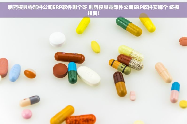 制药模具零部件公司ERP软件哪个好 制药模具零部件公司ERP软件买哪个 终极指南！