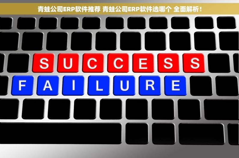 青蛙公司ERP软件推荐 青蛙公司ERP软件选哪个 全面解析！