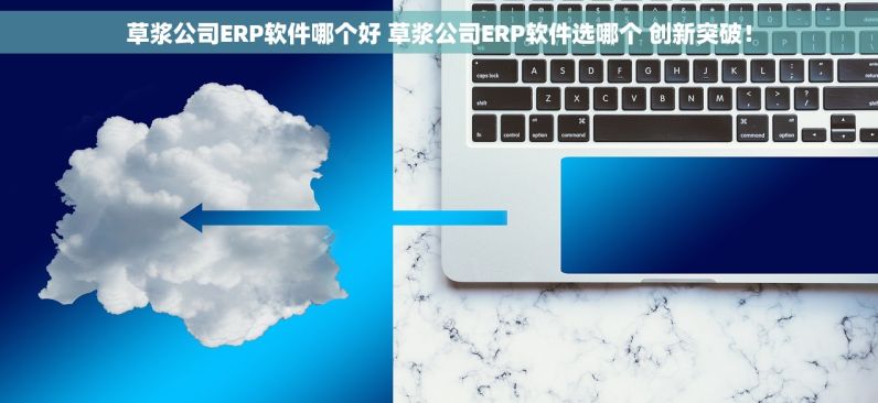 草浆公司ERP软件哪个好 草浆公司ERP软件选哪个 创新突破！