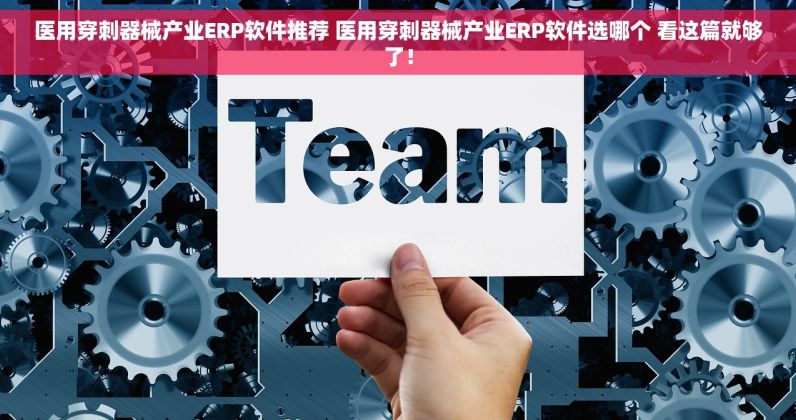 医用穿刺器械产业ERP软件推荐 医用穿刺器械产业ERP软件选哪个 看这篇就够了！
