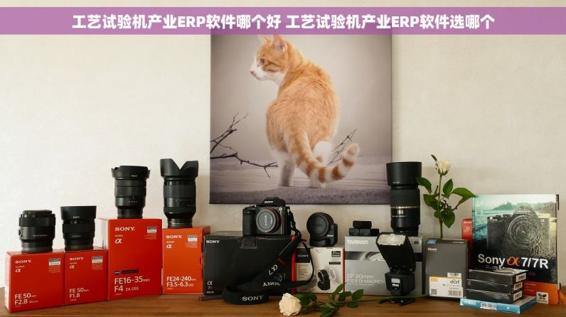 工艺试验机产业ERP软件哪个好 工艺试验机产业ERP软件选哪个
