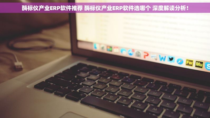 酶标仪产业ERP软件推荐 酶标仪产业ERP软件选哪个 深度解读分析！