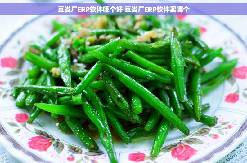 豆类厂ERP软件哪个好 豆类厂ERP软件买哪个