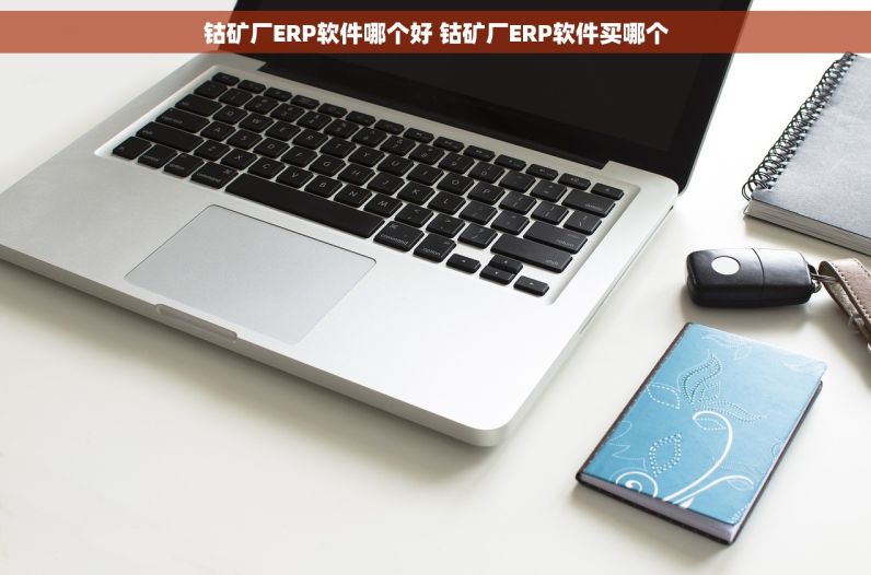 钴矿厂ERP软件哪个好 钴矿厂ERP软件买哪个