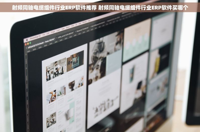 射频同轴电缆组件行业ERP软件推荐 射频同轴电缆组件行业ERP软件买哪个