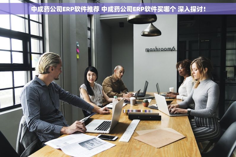 中成药公司ERP软件推荐 中成药公司ERP软件买哪个 深入探讨！
