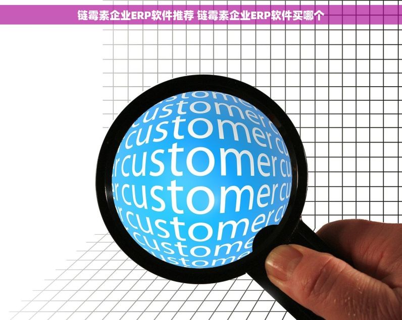 链霉素企业ERP软件推荐 链霉素企业ERP软件买哪个