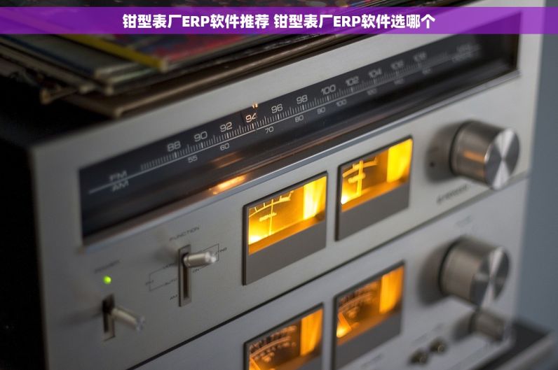 钳型表厂ERP软件推荐 钳型表厂ERP软件选哪个