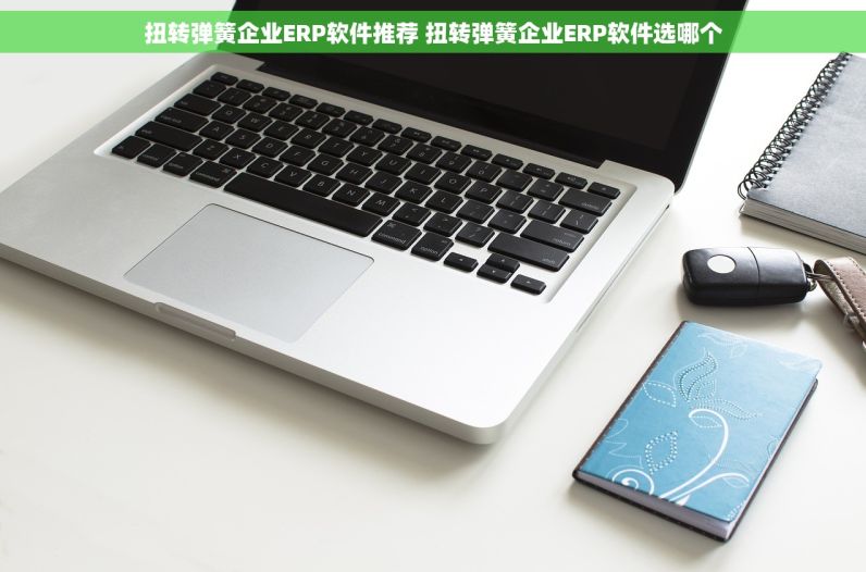 扭转弹簧企业ERP软件推荐 扭转弹簧企业ERP软件选哪个