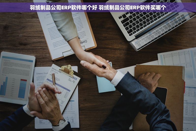 羽绒制品公司ERP软件哪个好 羽绒制品公司ERP软件买哪个