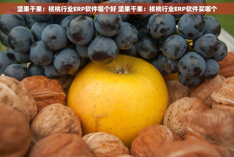 坚果干果：核桃行业ERP软件哪个好 坚果干果：核桃行业ERP软件买哪个