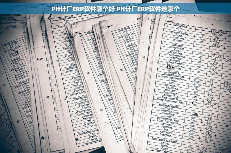 PH计厂ERP软件哪个好 PH计厂ERP软件选哪个