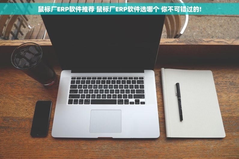 鼠标厂ERP软件推荐 鼠标厂ERP软件选哪个 你不可错过的!