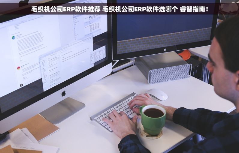 毛织机公司ERP软件推荐 毛织机公司ERP软件选哪个 睿智指南！