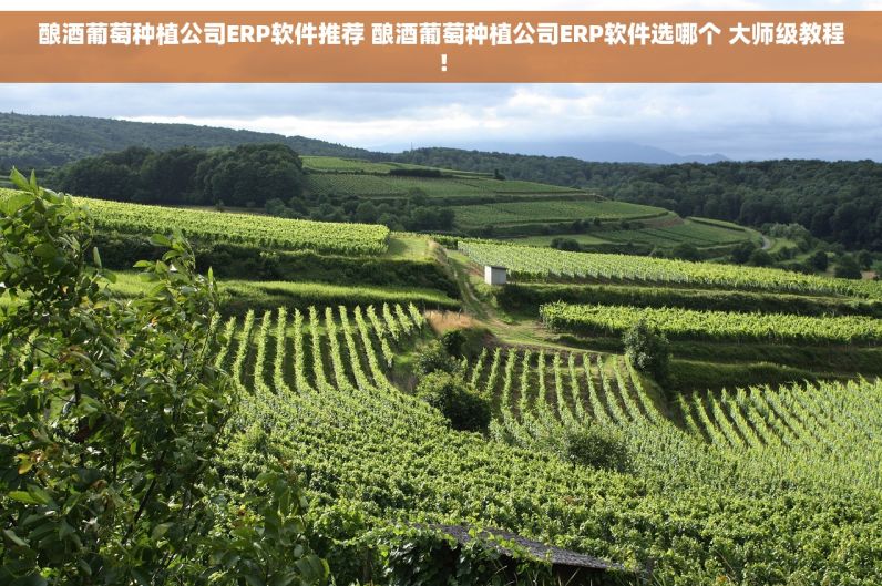 酿酒葡萄种植公司ERP软件推荐 酿酒葡萄种植公司ERP软件选哪个 大师级教程！