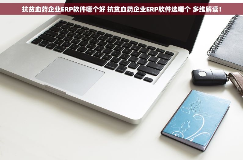 抗贫血药企业ERP软件哪个好 抗贫血药企业ERP软件选哪个 多维解读！