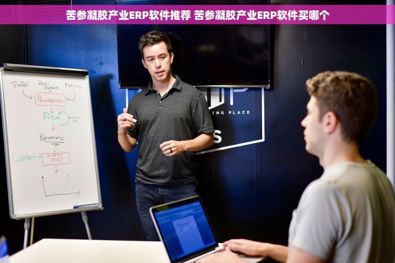 苦参凝胶产业ERP软件推荐 苦参凝胶产业ERP软件买哪个