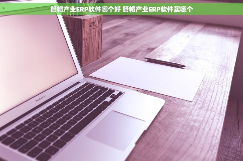 管帽产业ERP软件哪个好 管帽产业ERP软件买哪个