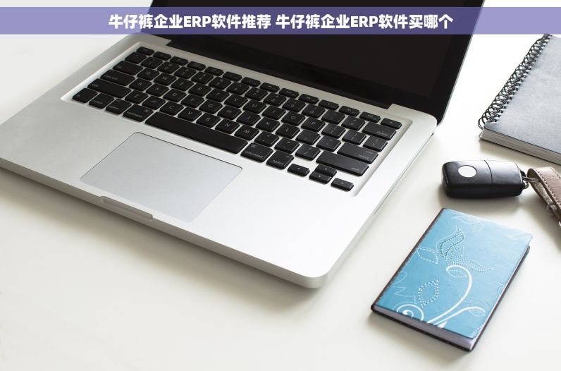 牛仔裤企业ERP软件推荐 牛仔裤企业ERP软件买哪个