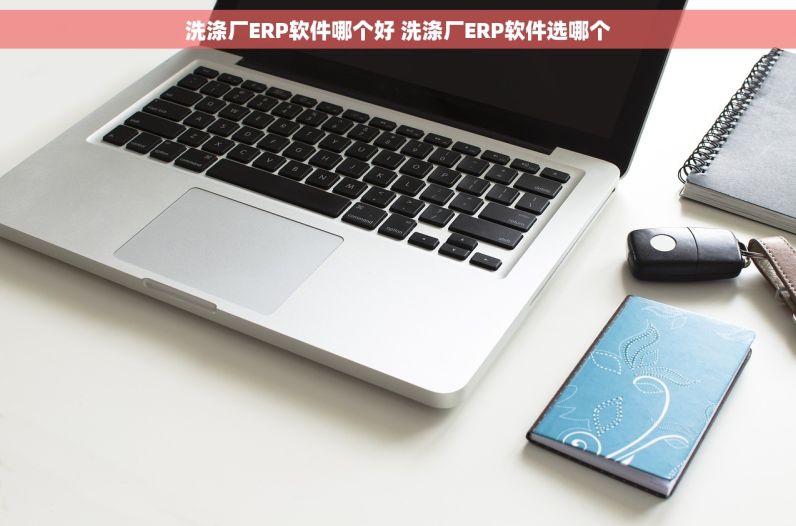 洗涤厂ERP软件哪个好 洗涤厂ERP软件选哪个