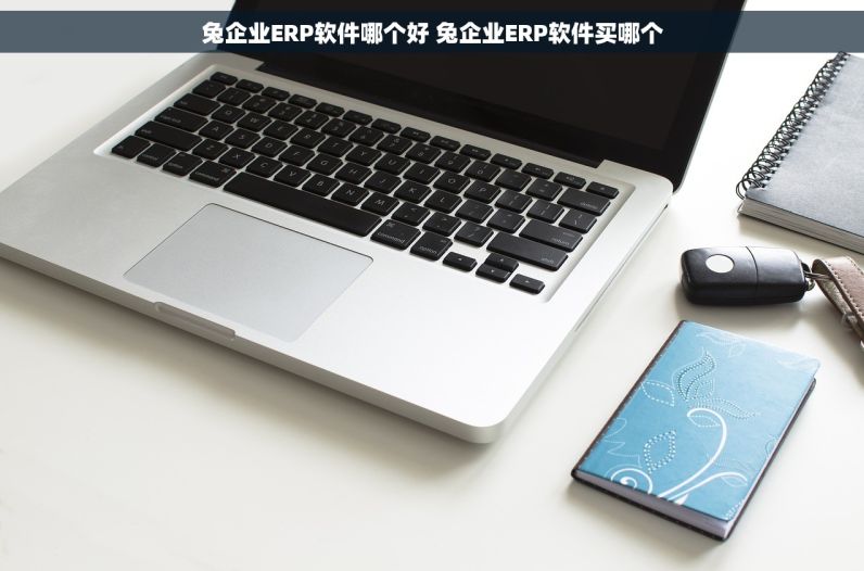 兔企业ERP软件哪个好 兔企业ERP软件买哪个