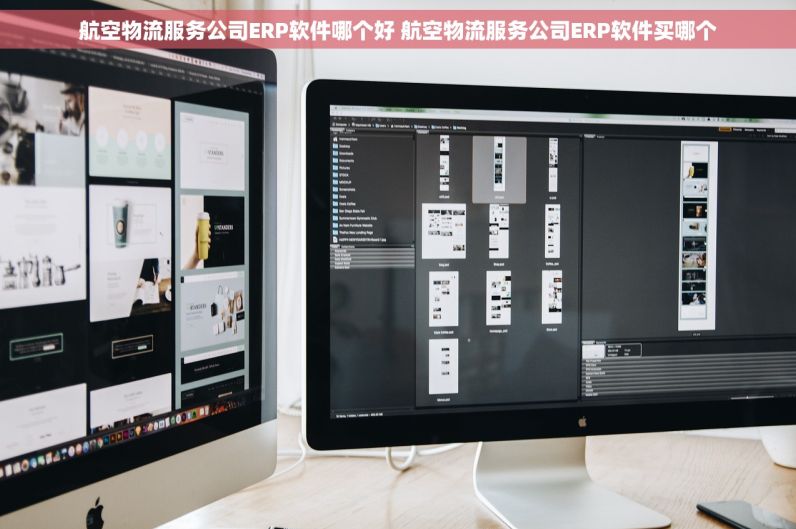 航空物流服务公司ERP软件哪个好 航空物流服务公司ERP软件买哪个