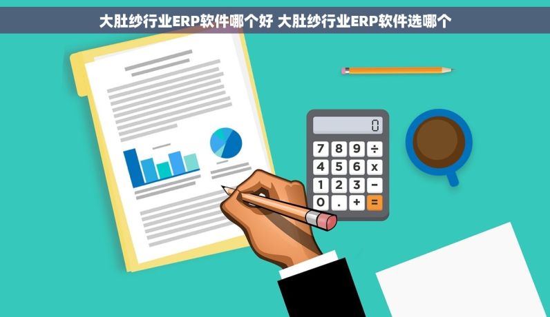 大肚纱行业ERP软件哪个好 大肚纱行业ERP软件选哪个