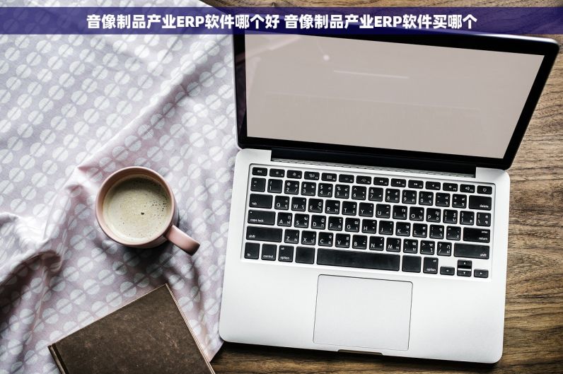 音像制品产业ERP软件哪个好 音像制品产业ERP软件买哪个