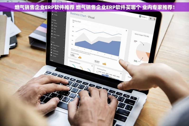 涨紧轮公司ERP软件哪个好 涨紧轮公司ERP软件买哪个