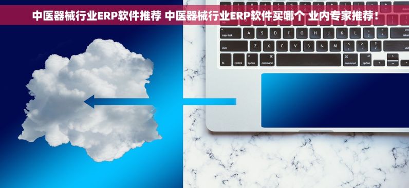 中医器械行业ERP软件推荐 中医器械行业ERP软件买哪个 业内专家推荐！