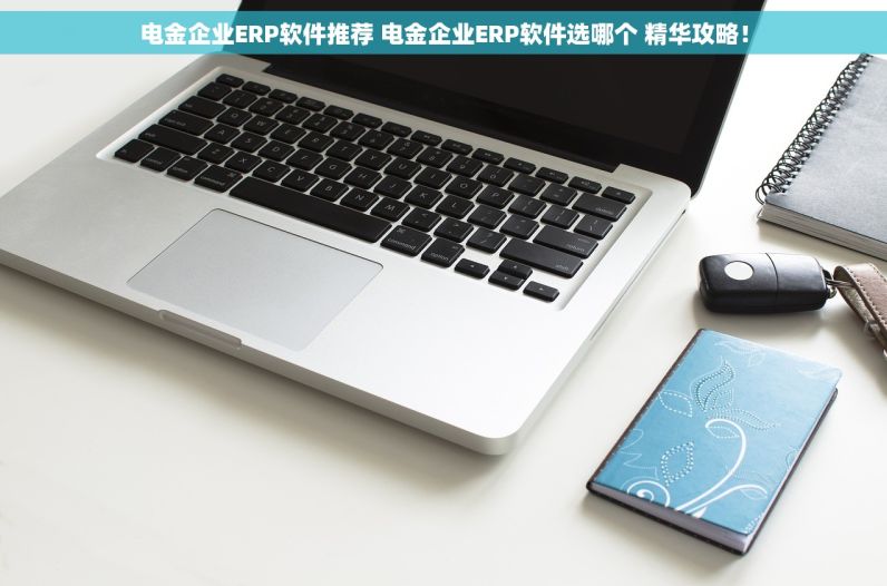 电金企业ERP软件推荐 电金企业ERP软件选哪个 精华攻略！