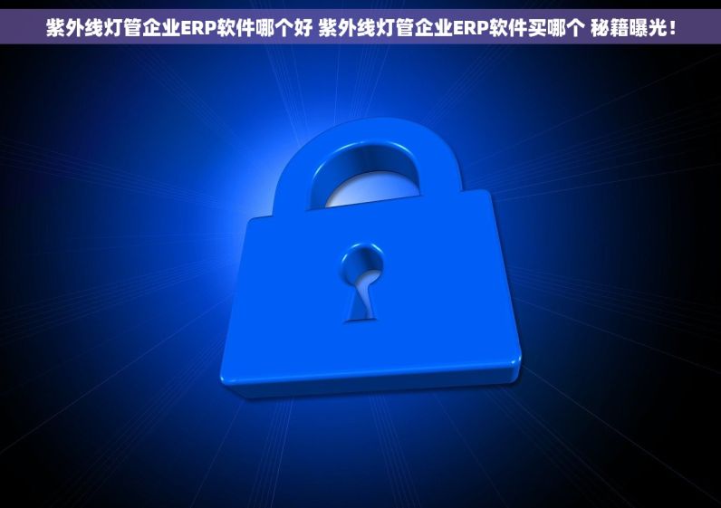 紫外线灯管企业ERP软件哪个好 紫外线灯管企业ERP软件买哪个 秘籍曝光！