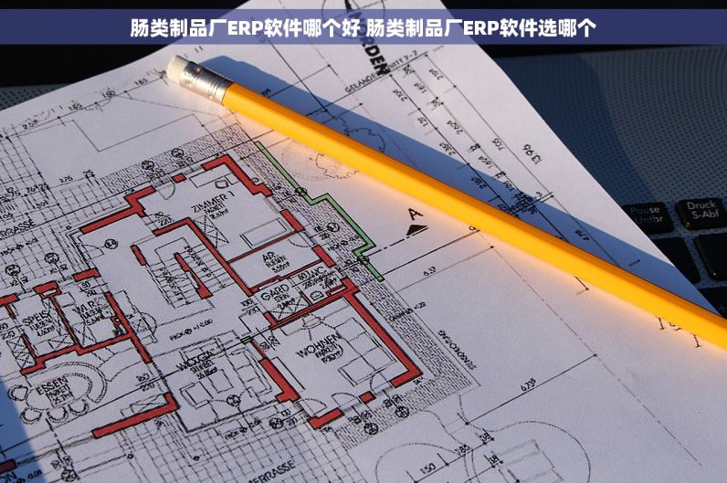 肠类制品厂ERP软件哪个好 肠类制品厂ERP软件选哪个