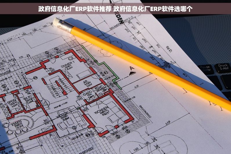 政府信息化厂ERP软件推荐 政府信息化厂ERP软件选哪个