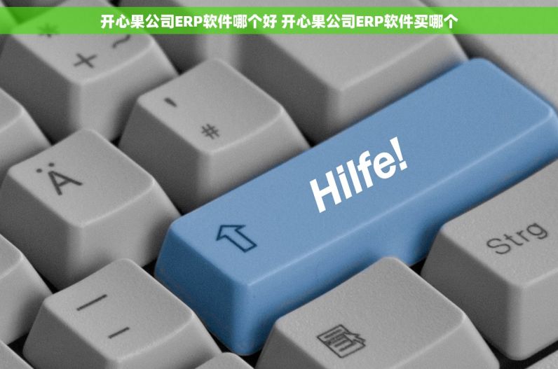 开心果公司ERP软件哪个好 开心果公司ERP软件买哪个