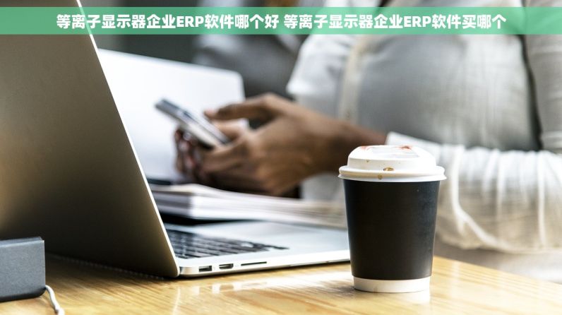 等离子显示器企业ERP软件哪个好 等离子显示器企业ERP软件买哪个