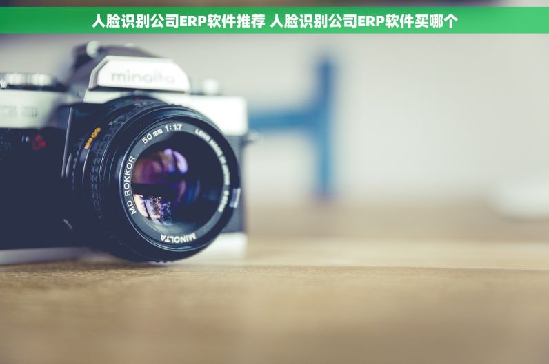 人脸识别公司ERP软件推荐 人脸识别公司ERP软件买哪个