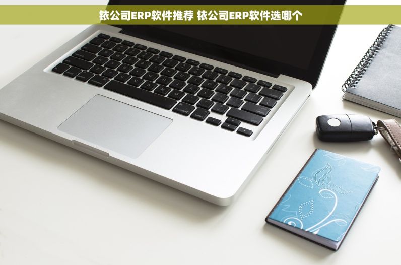 铱公司ERP软件推荐 铱公司ERP软件选哪个