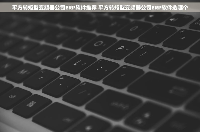 平方转矩型变频器公司ERP软件推荐 平方转矩型变频器公司ERP软件选哪个