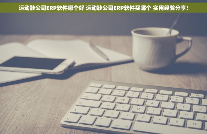 运动鞋公司ERP软件哪个好 运动鞋公司ERP软件买哪个 实用经验分享！