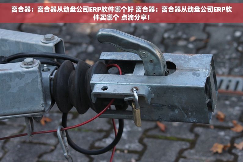 离合器：离合器从动盘公司ERP软件哪个好 离合器：离合器从动盘公司ERP软件买哪个 点滴分享！