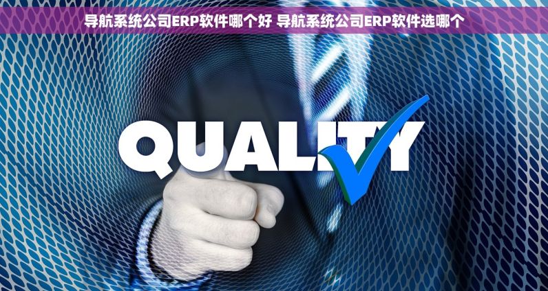 导航系统公司ERP软件哪个好 导航系统公司ERP软件选哪个