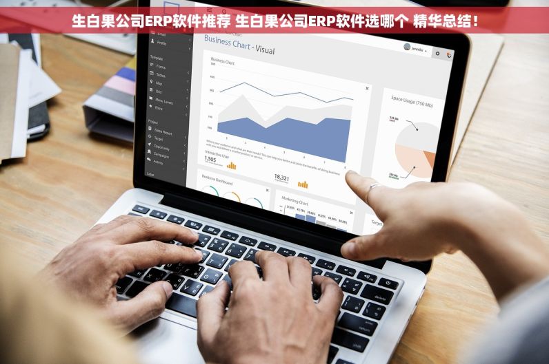 生白果公司ERP软件推荐 生白果公司ERP软件选哪个 精华总结！