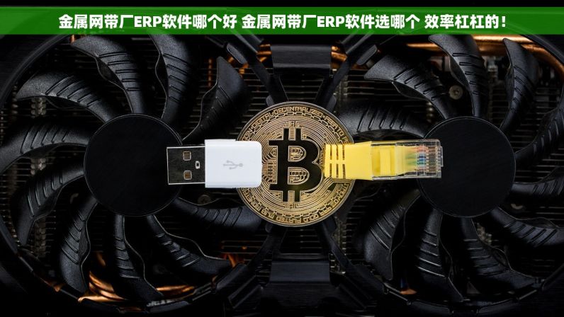 金属网带厂ERP软件哪个好 金属网带厂ERP软件选哪个 效率杠杠的！