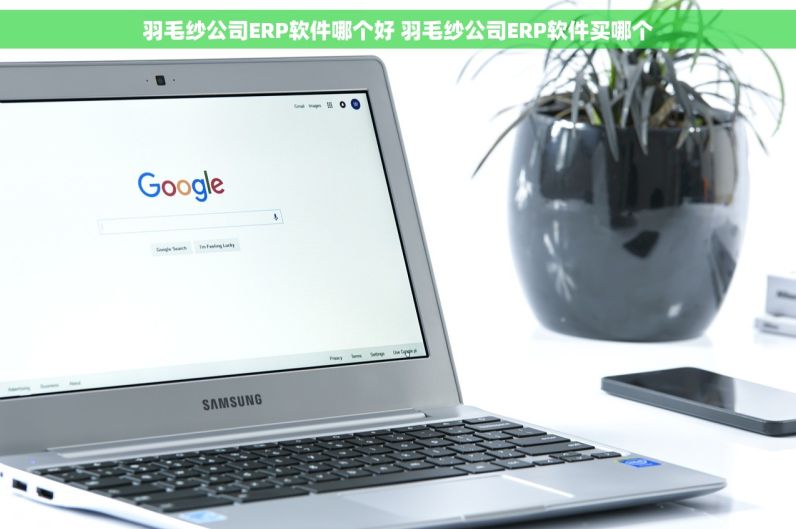 羽毛纱公司ERP软件哪个好 羽毛纱公司ERP软件买哪个